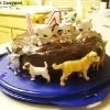 casandrasbirthday07.jpg