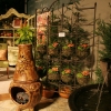 NW Flower & Garden Show 2009