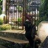 nwfgs07.jpg