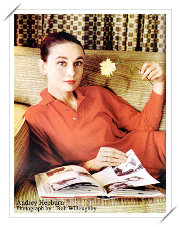 Audrey Hepburn Audrey Hepburn