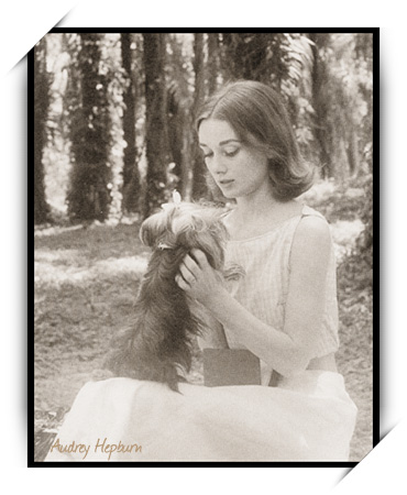 Audrey Hepburn