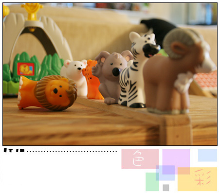 Anyas animal friends