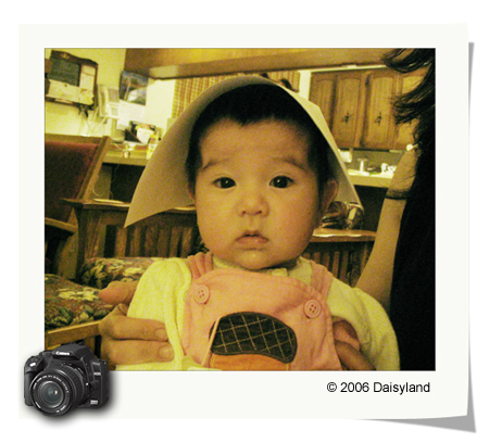 Pilgrim Anya Pilgrim Anya