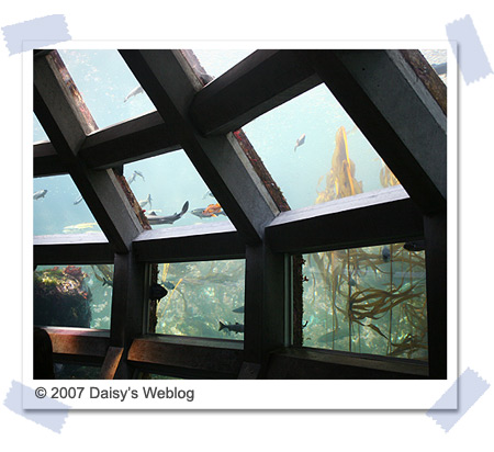Under Water Dome Under Water Dome