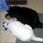 Charlie and Charlene Eating