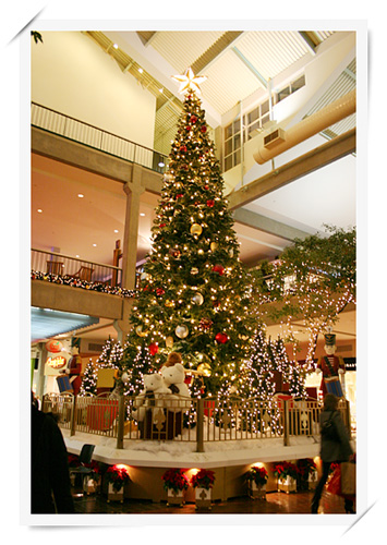 Christmas Tree at the Bellevue Square Christmas Tree at the Bellevue Square