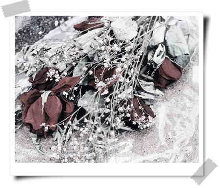 Dying Roses