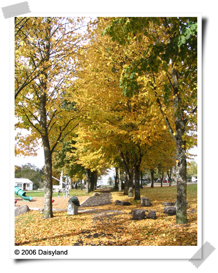 Fall