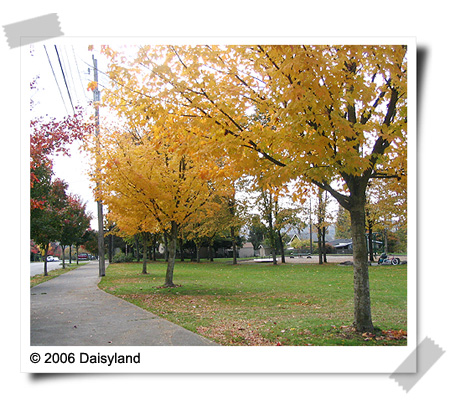 Fall