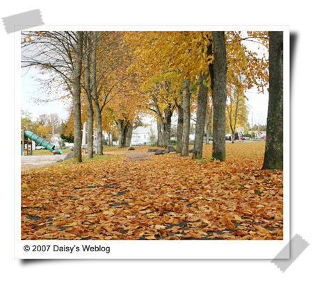 Fall