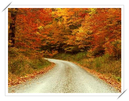 Fall