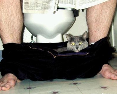 Funny Animal Pic