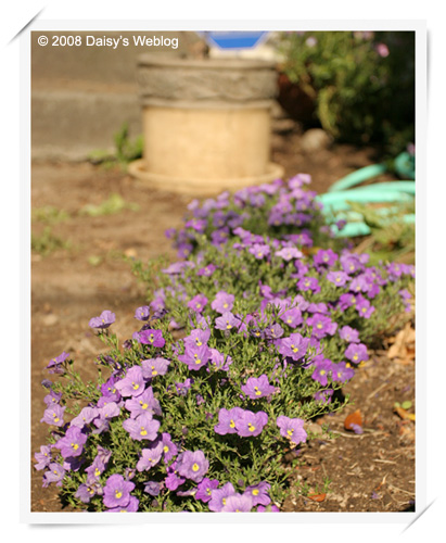 Gardening Fun