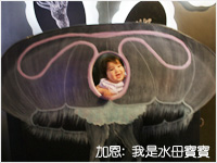 JellyFish Baby