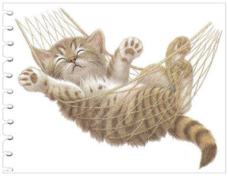 Lazy Days Cat