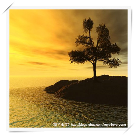 Lonely tree