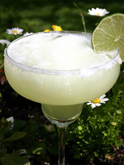 Margarita Drink