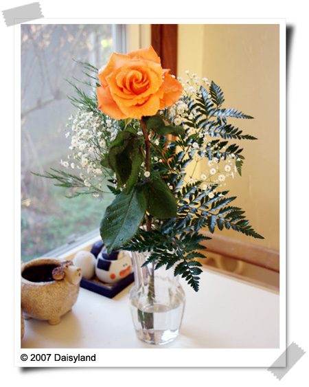 Rose