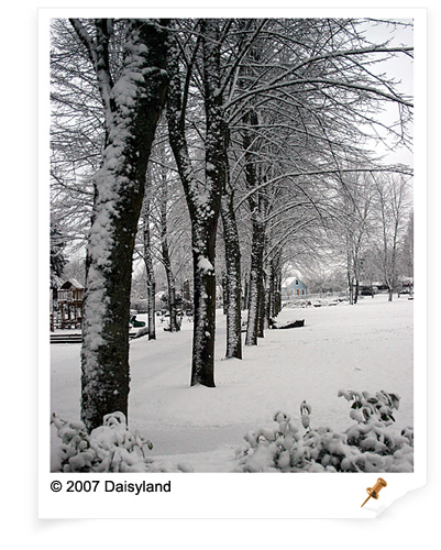 First Winter Snow in 2007 First Winter Snow in 2007