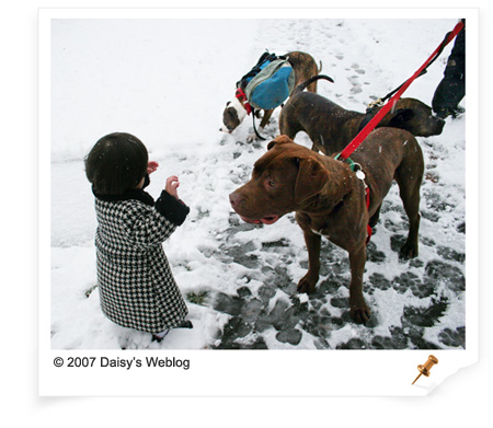 Anya with Dogs Anya with Dogs