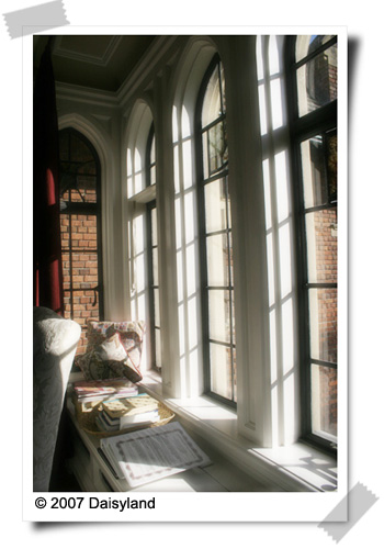 Window